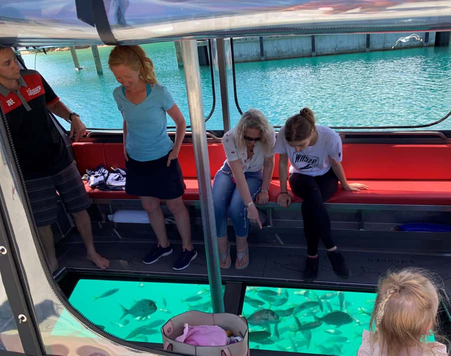 Paihia: Glass Bottom Boat Tour to the Hole in the Rock - The Run Past Beaches, Cliffs, and Coves