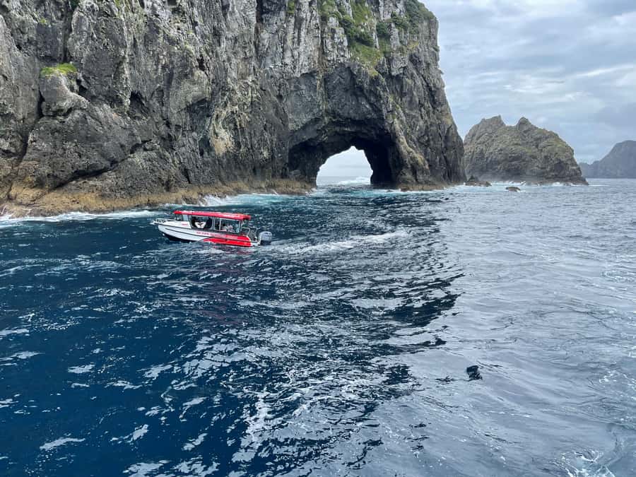 Paihia: Glass Bottom Boat Tour to the Hole in the Rock - Who Will Enjoy This Boat Trip