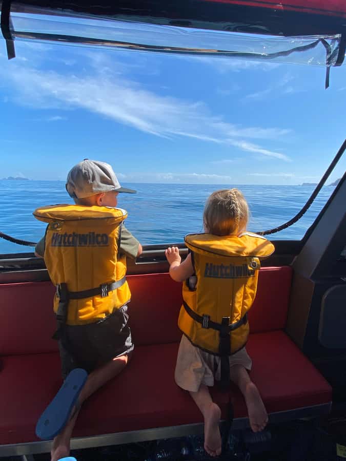 Paihia: Glass Bottom Boat Tour to the Hole in the Rock - Booking Flexibility and Meeting at the Wharf
