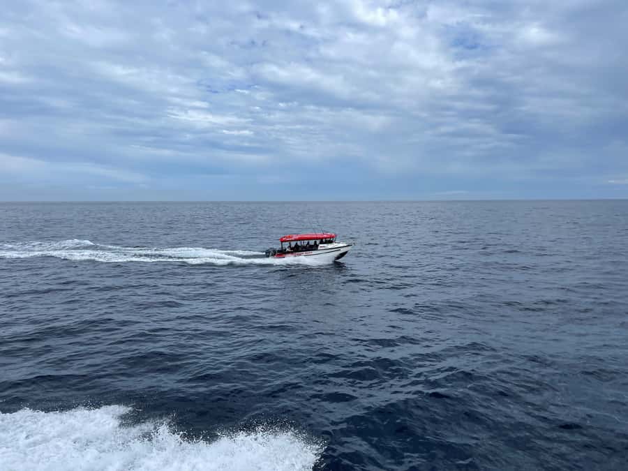 Paihia: Glass Bottom Boat Tour to the Hole in the Rock - FAQ