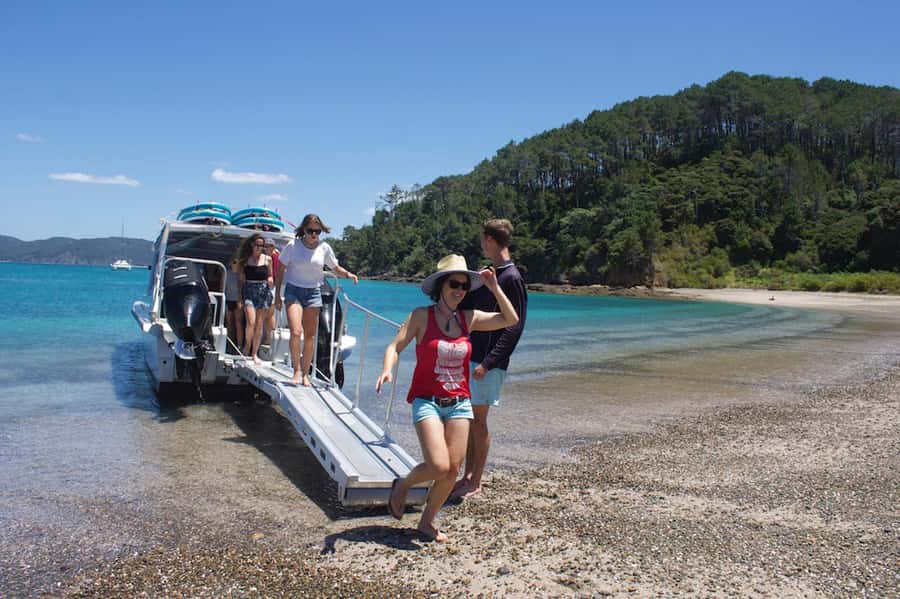 Paihia/Russell: Hole in the Rock Cruise with 2 Island Stops - Weather, timing, and practical planning