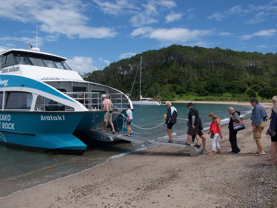 Paihia/Russell: Hole in the Rock Cruise with 2 Island Stops - Boarding from Paihia or Russell