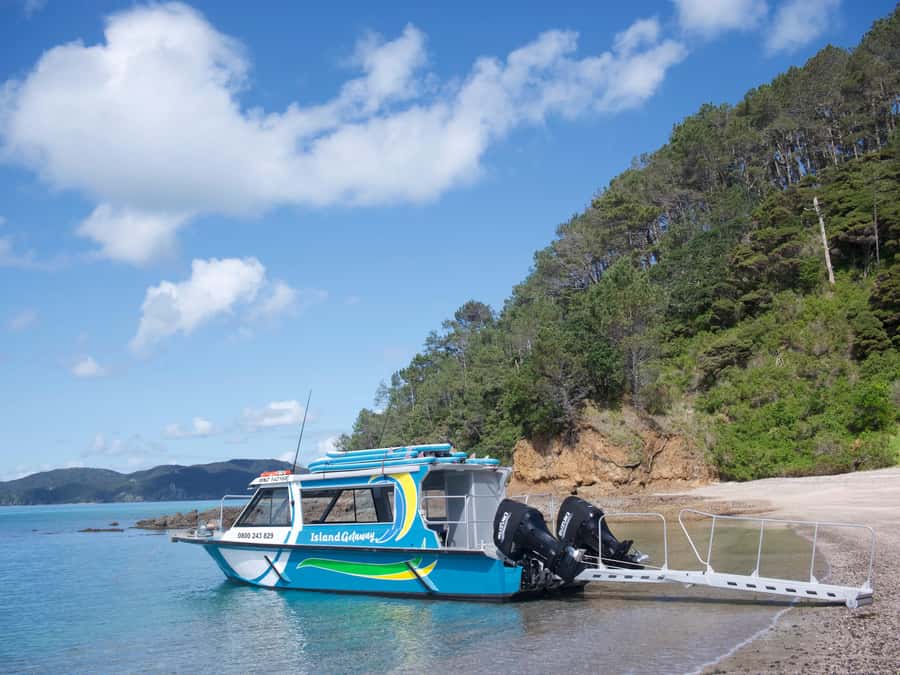 Paihia/Russell: Hole in the Rock Cruise with 2 Island Stops - Cape Brett and the lighthouse