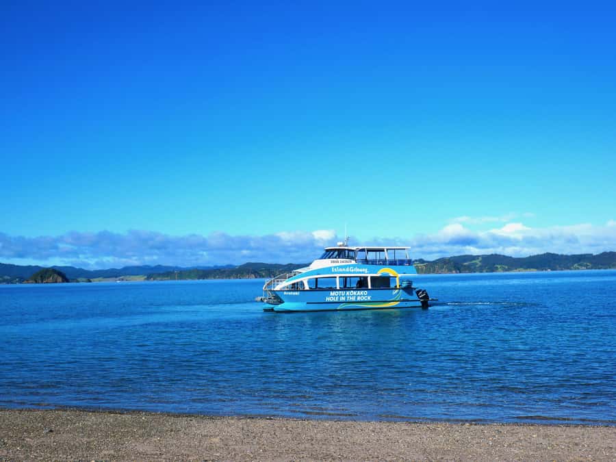 Paihia/Russell: Hole in the Rock Cruise with 2 Island Stops - Urupukapuka Island: swim, snorkel, or take it slow
