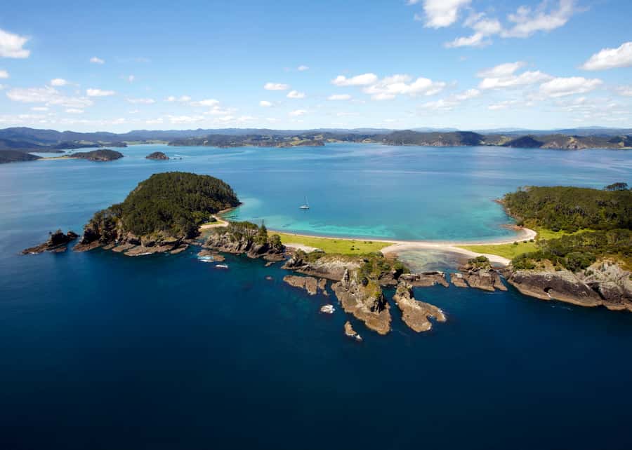 Paihia/Russell: Hole in the Rock Cruise with 2 Island Stops - Wildlife watching is part of the plan