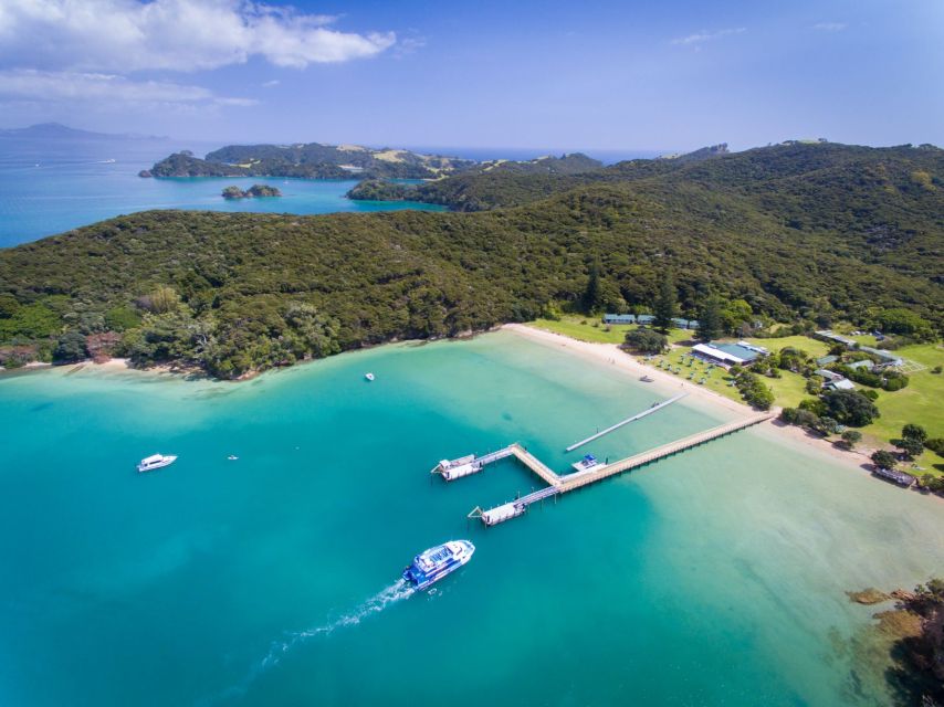 Paihia/Russell: Hole in the Rock, Dolphins & Island Cruise - Paihia or Russell: choosing your departure point
