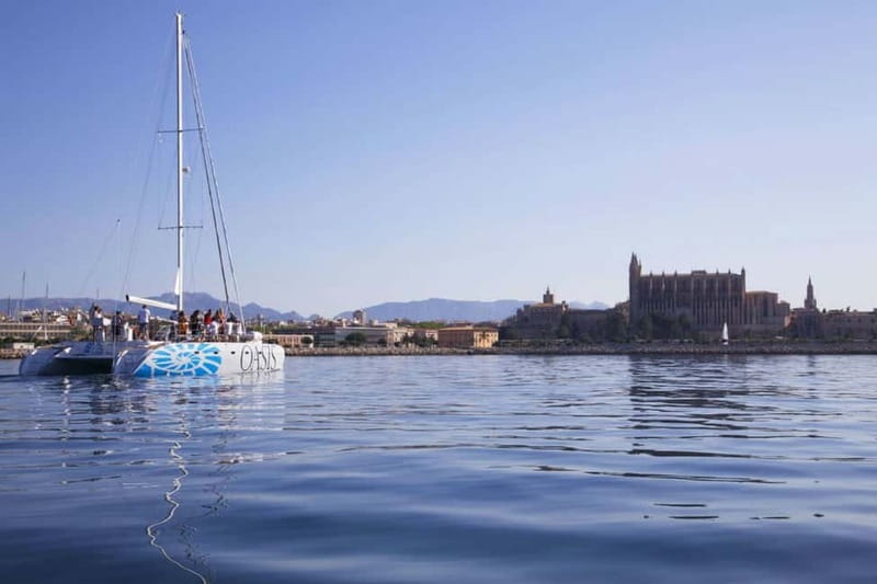 Palma de Mallorca: Deluxe Catamaran Sailing Tour with Meal - How much value do you get for $97?