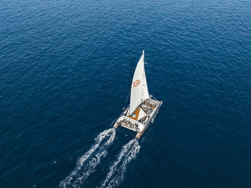Palma de Mallorca: Half-Day Catamaran Tour with Buffet Meal - Key points to know before boarding