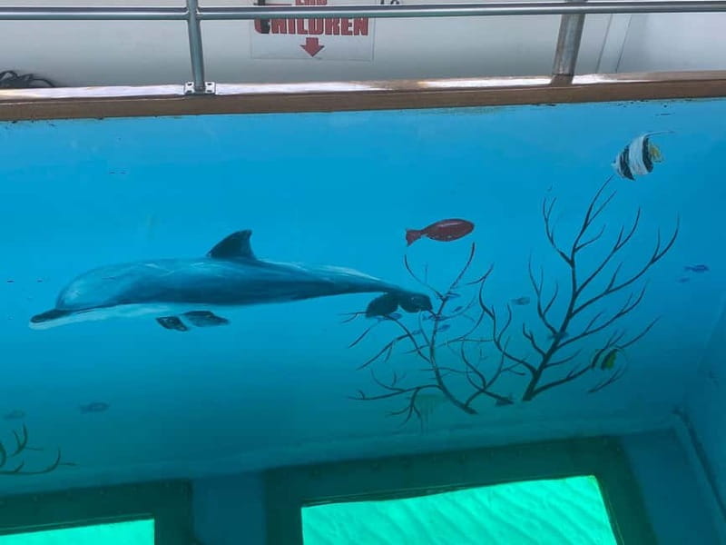 Paphos: Glass Bottom Boat Trip with Swimming or Snorkeling - Slide, jumping platform, and family appeal