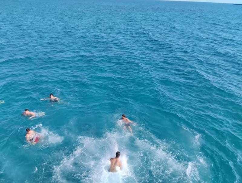 Paphos: Glass Bottom Boat Trip with Swimming or Snorkeling - Which option should you book?