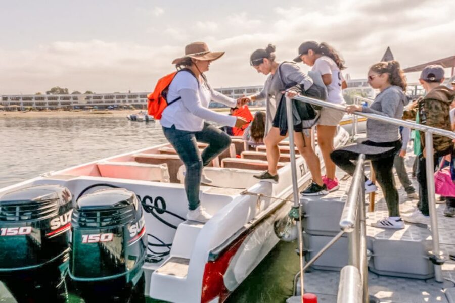 Paracas: Ballestas Islands Morning Boat Tour - Who should book this boat tour?