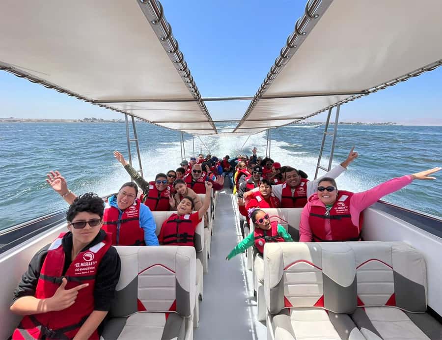 Paracas: Ballestas Islands Morning Boat Tour - Sea lions, penguins, and a sky full of birds