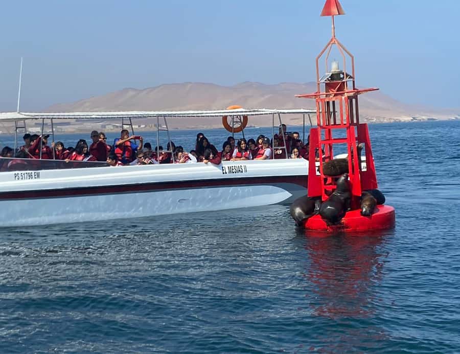 Paracas: Ballestas Islands Morning Boat Tour - Why staying offshore is both good and limiting