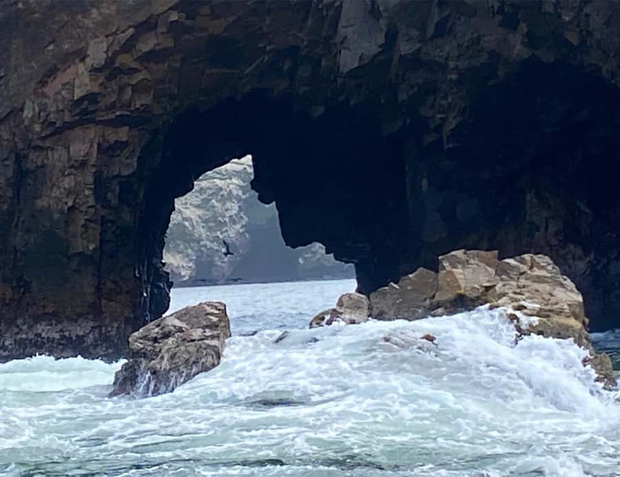 Paracas: Ballestas Islands Morning Boat Tour - Guides, boats, and the quality of the outing
