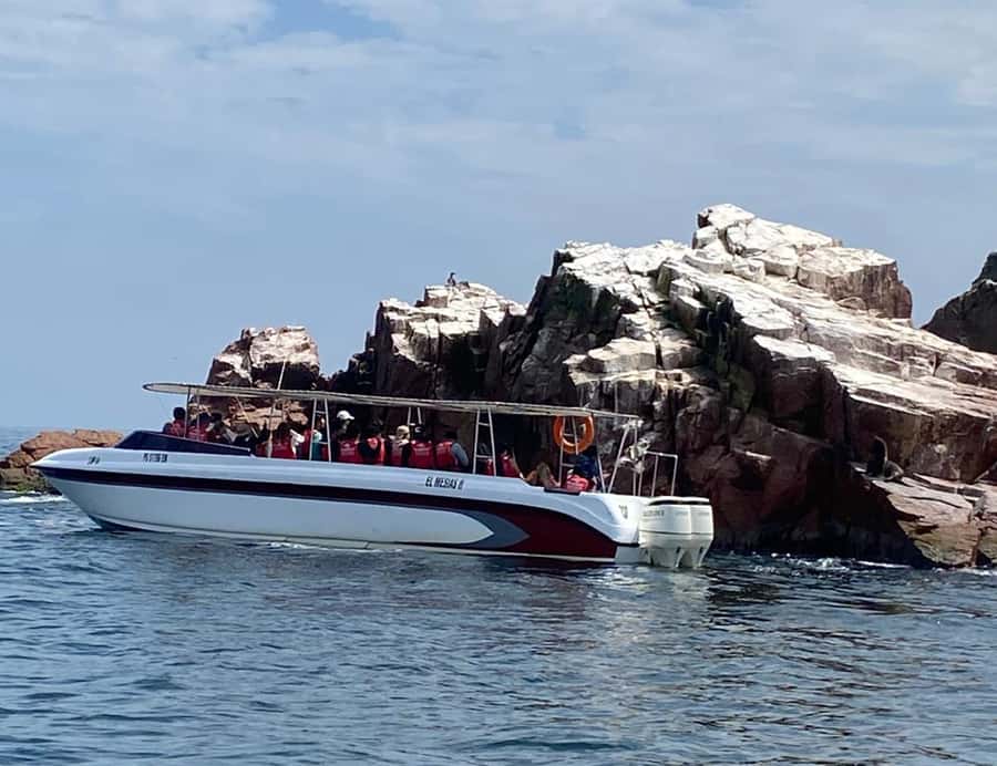 Paracas: Ballestas Islands Morning Boat Tour - What to bring and how to prepare