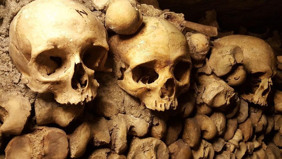 Paris: Catacombs Ticket and Seine River Cruise - Is $104 a fair price?