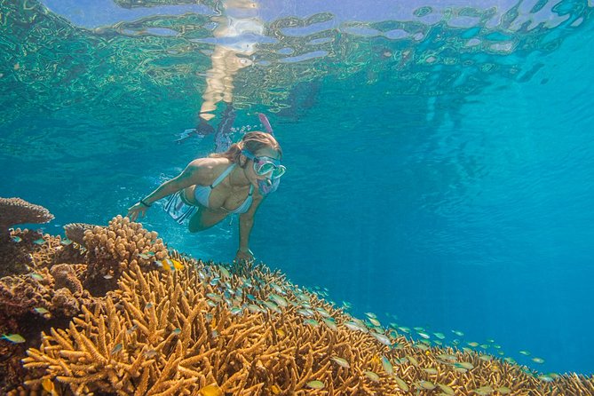 Passions of Paradise Great Barrier Reef Cruise by Catamaran - Scuba sessions for first-timers and certified participants