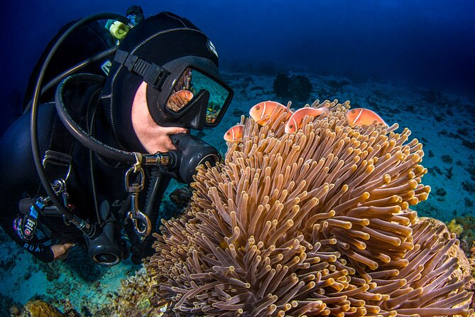 Passions of Paradise Great Barrier Reef Cruise by Catamaran - Lunch, snacks, and the marine presentation