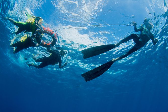 Passions of Paradise Great Barrier Reef Cruise by Catamaran - Timing, check-in, and what to bring