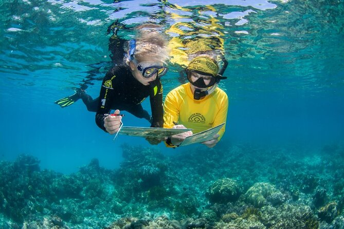 Passions of Paradise Great Barrier Reef Cruise by Catamaran - What the catamaran ride is really like