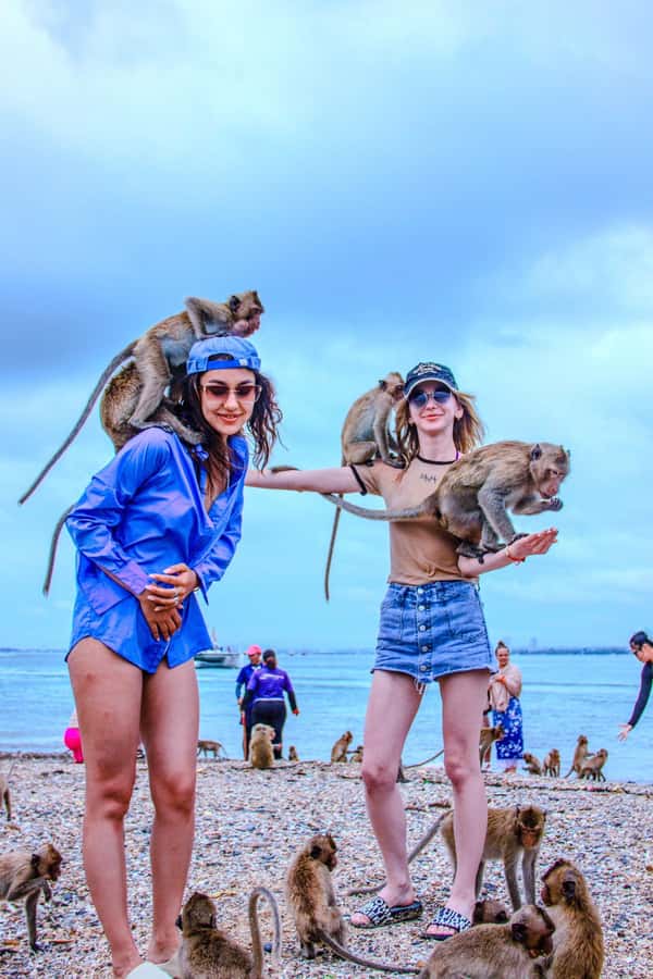 Pattaya: Exclusive 3-Island Catamaran Tour with Buffet Lunch - Key points before you book