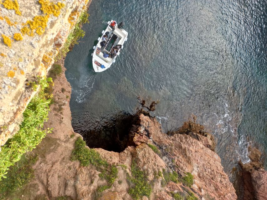 Peniche: Berlengas Roundtrip and Glass-Bottom Boat Cave Tour - Should you book it?