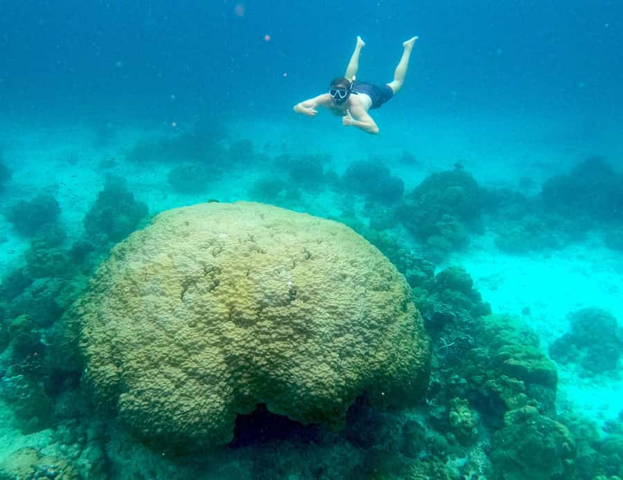 Phi Phi: Private Longtail Boat to Maya Bay with Snorkeling - Bamboo Island and the full 7-hour route