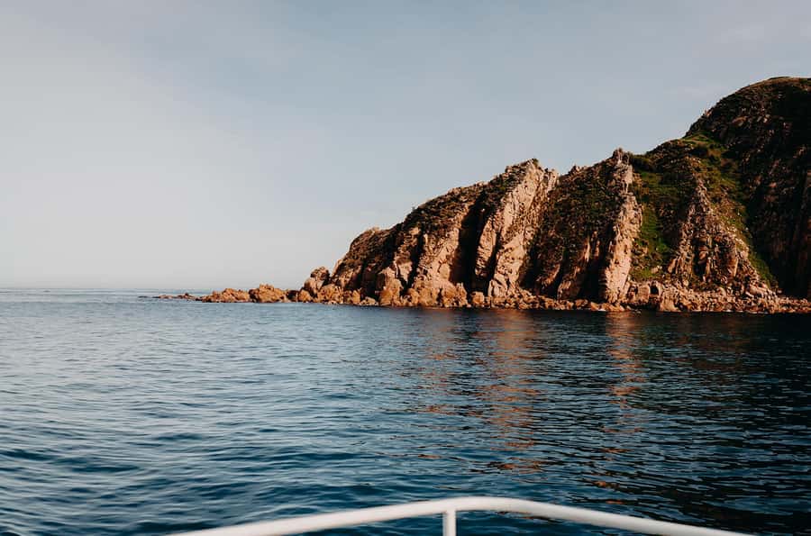Phillip Island: 1-Hour Cape Woolamai Scenic Cruise - Birdlife, seals, dolphins, and luck on the water