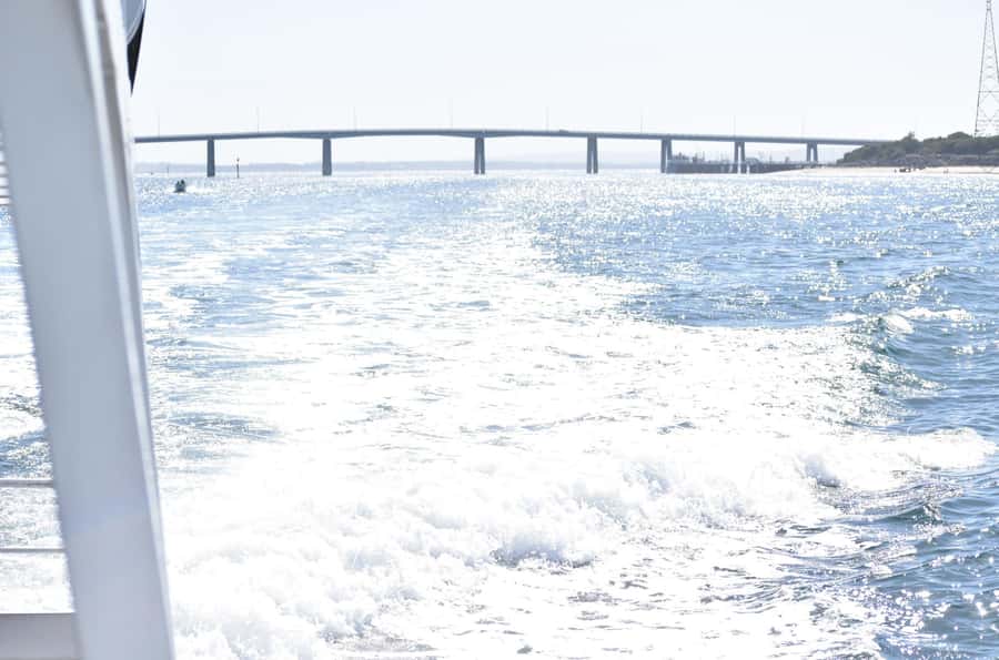 Phillip Island: 1-Hour Cape Woolamai Scenic Cruise - How the $34 price measures up
