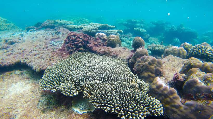 Phu Quoc: 3 Island Tour by Boat with Guide - Should you book it?