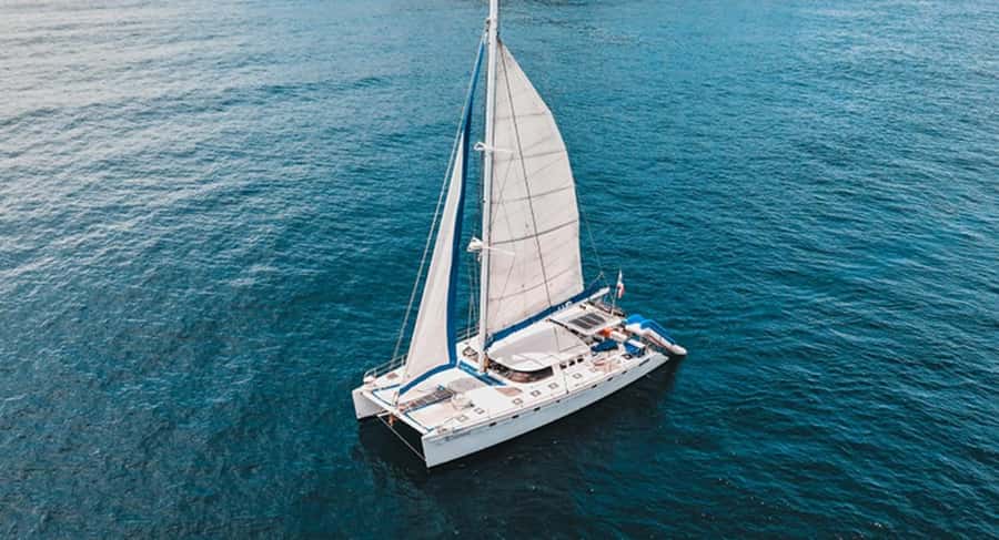 Phuket: Coral and Racha lslands Catamaran Tour with Lunch - From Hotel Pickup to the Open Sea