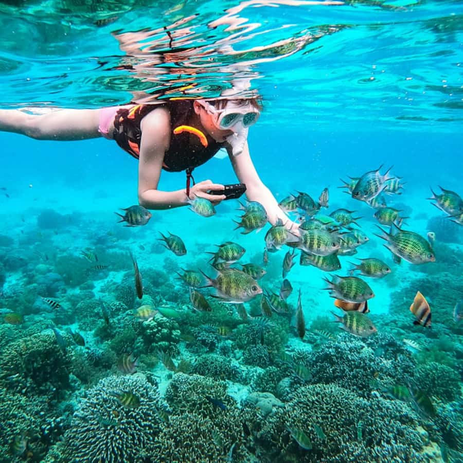 Phuket: Coral and Racha lslands Catamaran Tour with Lunch - Lunch, Fruit, and Fishing at Sunset