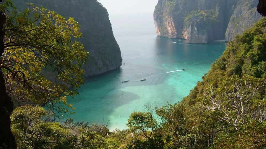 Phuket: Phi Phi Island Sunrise Group Speedboat Tour - Snorkeling around Phi Phi