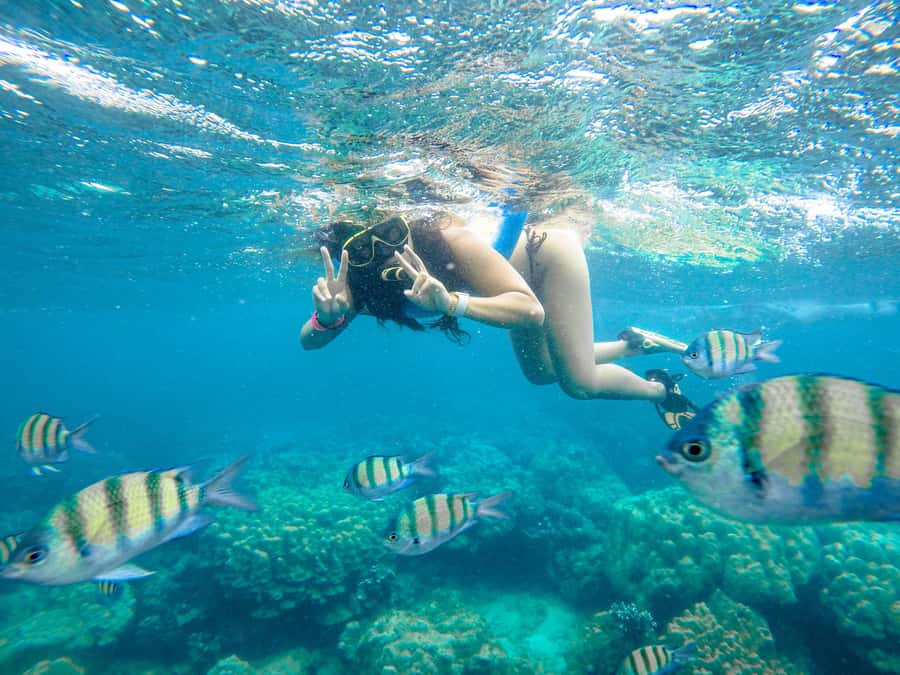 Phuket: Phi Phi Sunrise Boat Tour to Bamboo and Khai Island - Lunch at Phi Phi Holiday Resort