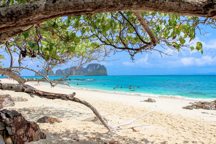Phuket: Phi Phi Sunrise Boat Tour to Bamboo and Khai Island - What the $125 price really covers