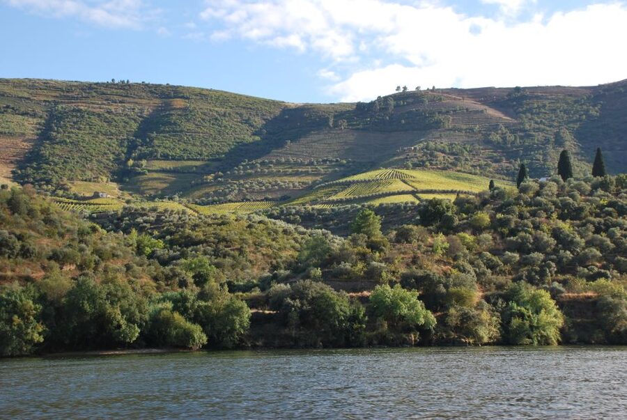 Pinhão: 2-Hour Rabelo Boat Tour with Audio Guide - Passing the Pinhão bridge and the first vineyards