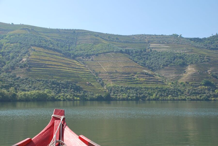 Pinhão: 2-Hour Rabelo Boat Tour with Audio Guide - Reaching Foz Tua and the Tua dam