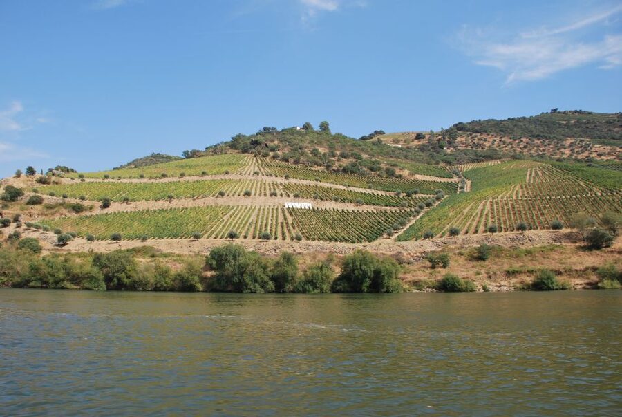 Pinhão: 2-Hour Rabelo Boat Tour with Audio Guide - Finding the Magnifico Douro pier in Pinhão