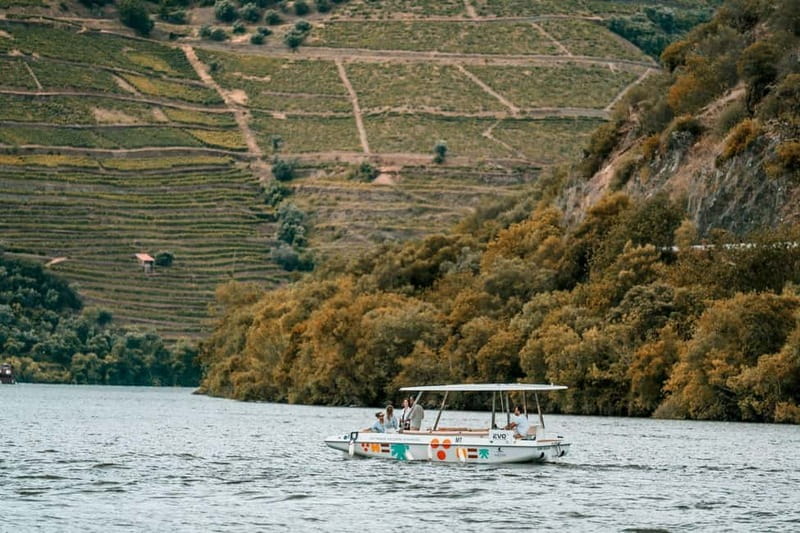 Pinhão: Douro River Solar Boat Tour with Wine Tasting - Who will enjoy this one-hour cruise