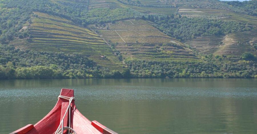 Pinhão: Rabelo Boat 1-Hour Tour - The quintas along the upstream route