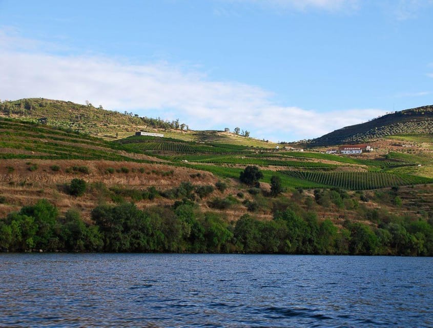Pinhão: Rabelo Boat 1-Hour Tour - Should you book it?