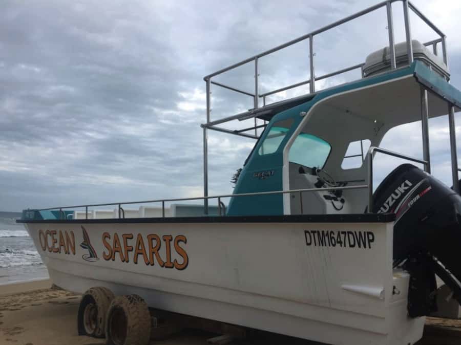 Plettenberg Bay: Whale Watching Boat Cruise - Practical planning for your Plettenberg Bay day
