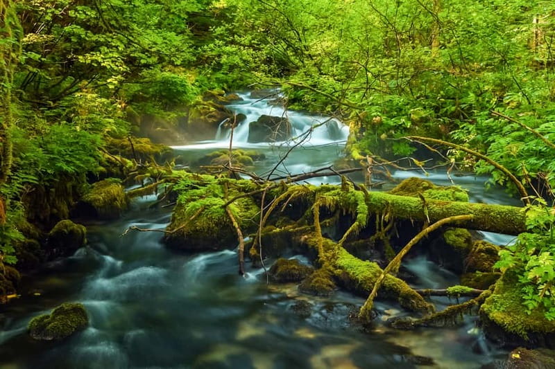 Plitvice Lakes: Guided Walking Tour with Bus and Boat Ride - Why Plitvice works best with a guide