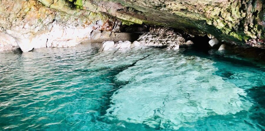 Polignano a Mare: Boat Trip, Swim & Cave with Aperitif - Should you book the Dorino boat trip?