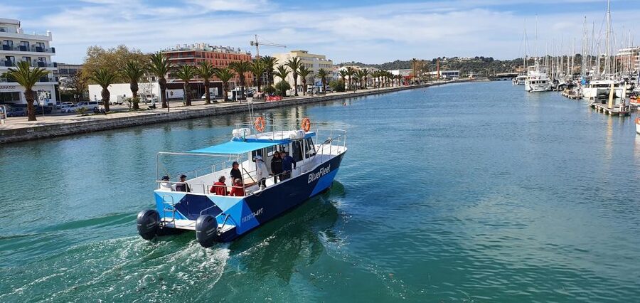 Ponta da Piedade: Half-Day Cruise with Lunch from Lagos - Practical booking advice for Lagos