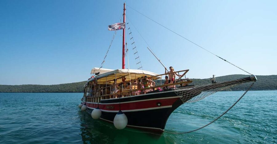 Poreč: Evening Boat Trip to Discover Dolphins - Searching for dolphins in the Adriatic