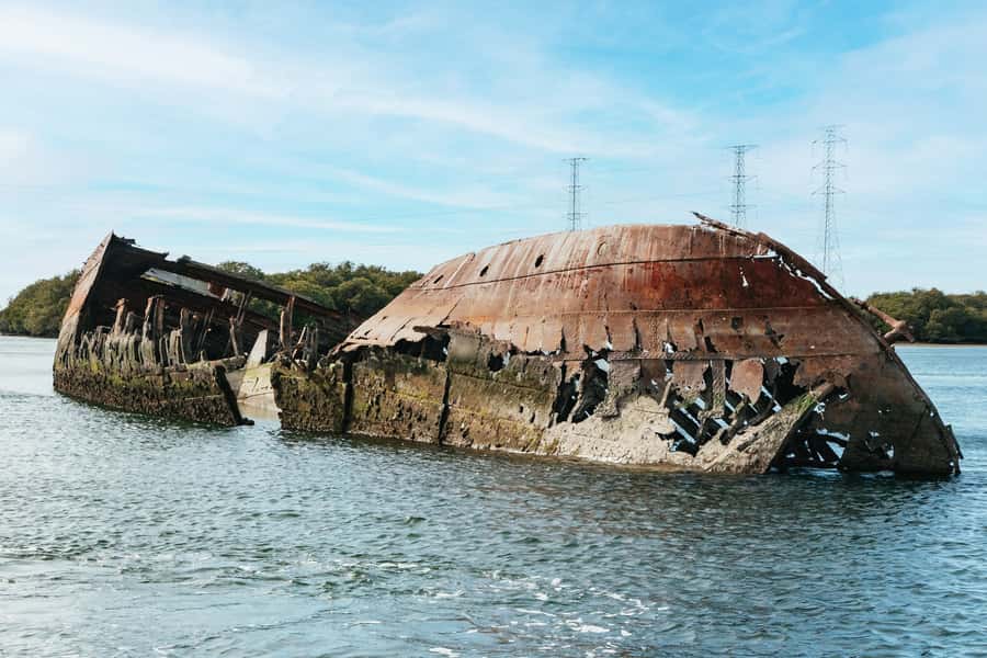 Port Adelaide: Dolphin and Ships Graveyard Cruise - Key points to know before you book