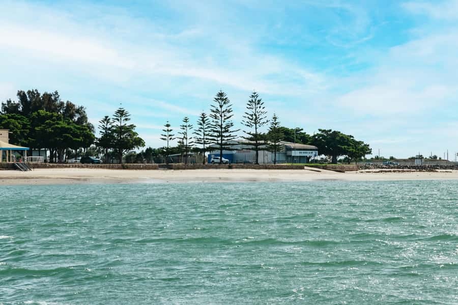 Port Adelaide: Dolphin and Ships Graveyard Cruise - Who should book this cruise?