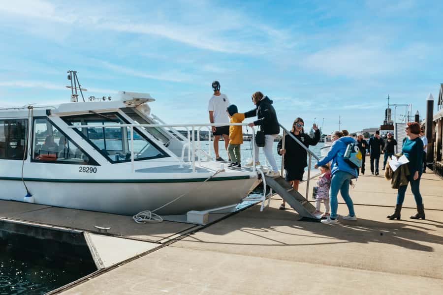 Port Adelaide: Dolphin and Ships Graveyard Cruise - Searching the Adelaide Dolphin Sanctuary