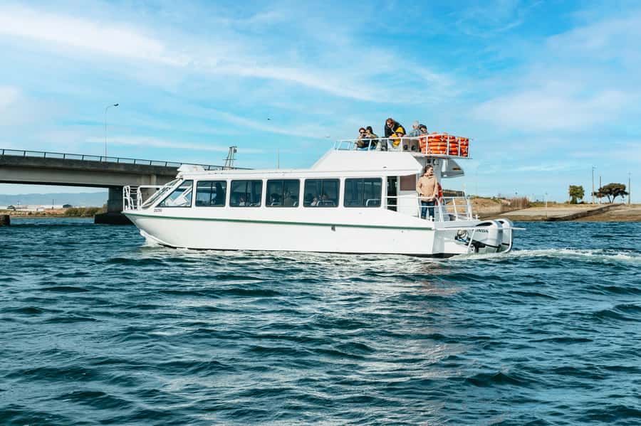 Port Adelaide: Dolphin and Ships Graveyard Cruise - Is $62 good value for 90 minutes?